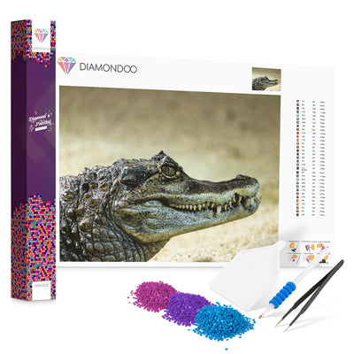 Diamondoo Krokodil