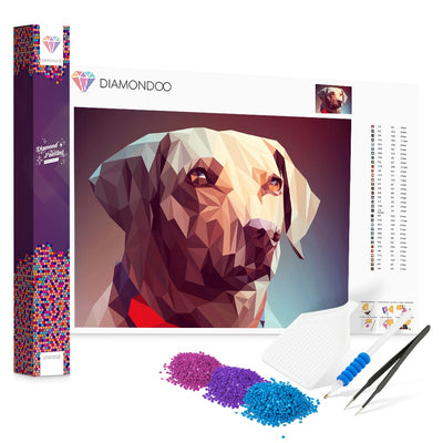 Diamondoo Hund Poly Art